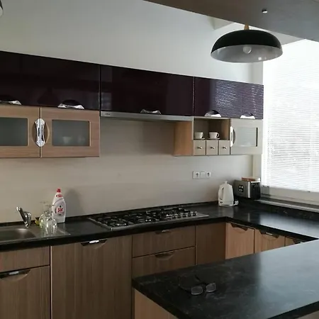 Διαμέρισμα Apartman Vintage A2 V Chomutove