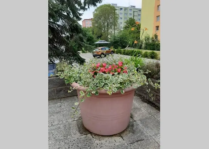 Apartment Apartman Vintage A2 V Chomutove *